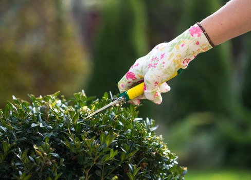 Garden makeover planning for a Woolwich home with a redesigned outdoor layout