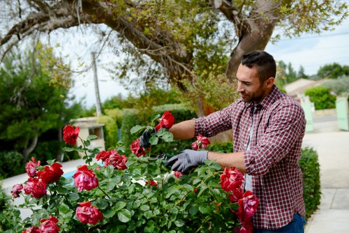 Supplier compliance audit in a landscaping supply chain