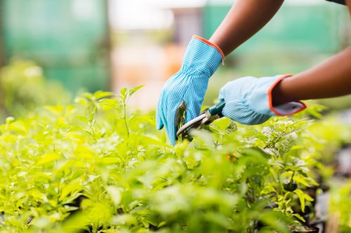 Secure Landscaping Woolwich payment area with online transaction protection