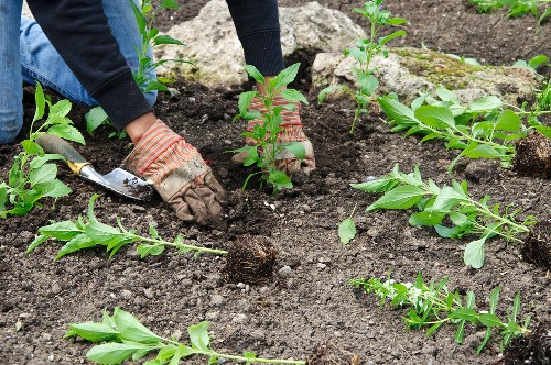 Professional landscaping planning in Woolwich outdoor space