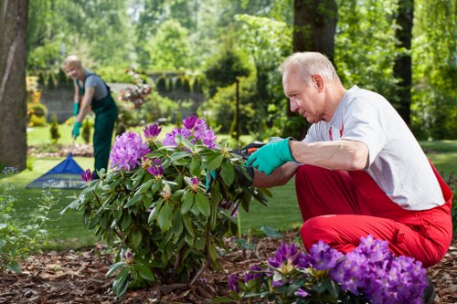 WCAG 2.1 AA accessibility-focused page section for Woolwich landscaping services