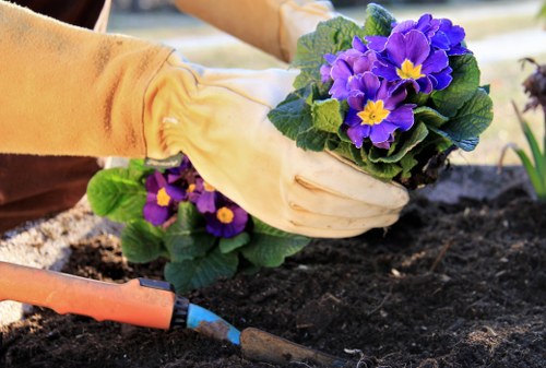 Local soft landscaping work in Woolwich for a front garden refresh
