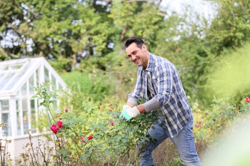Professional garden layout planning for a Woolwich property