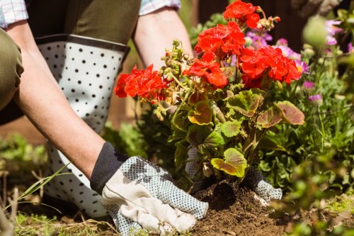 Team reviewing modern slavery risk controls in landscaping services