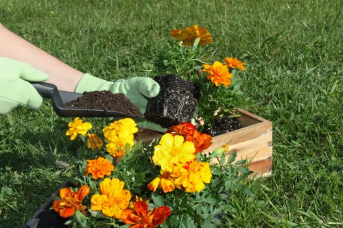 Inclusive landscaping website experience for Woolwich visitors with accessibility features
