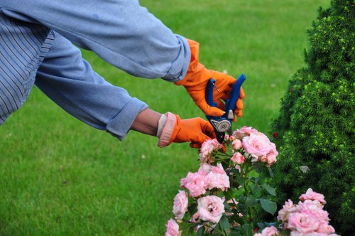 Explanation of cookie types for a landscaping website